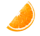 Orange vector image